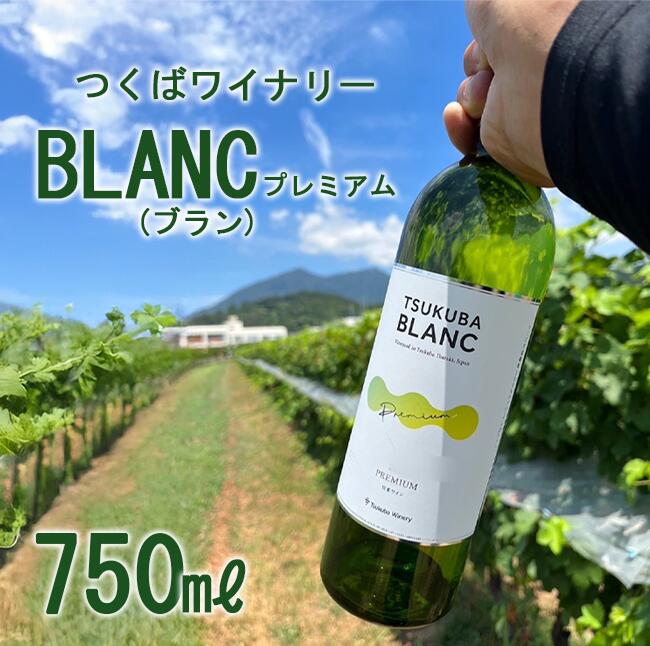 【ふるさと納税】つくばワイナリー TSUKUBA BLANC プレミアム | お酒 葡萄 ぶどう ブドウ 茨城県 つくば市 ワイナリー ワイン 白ワイン