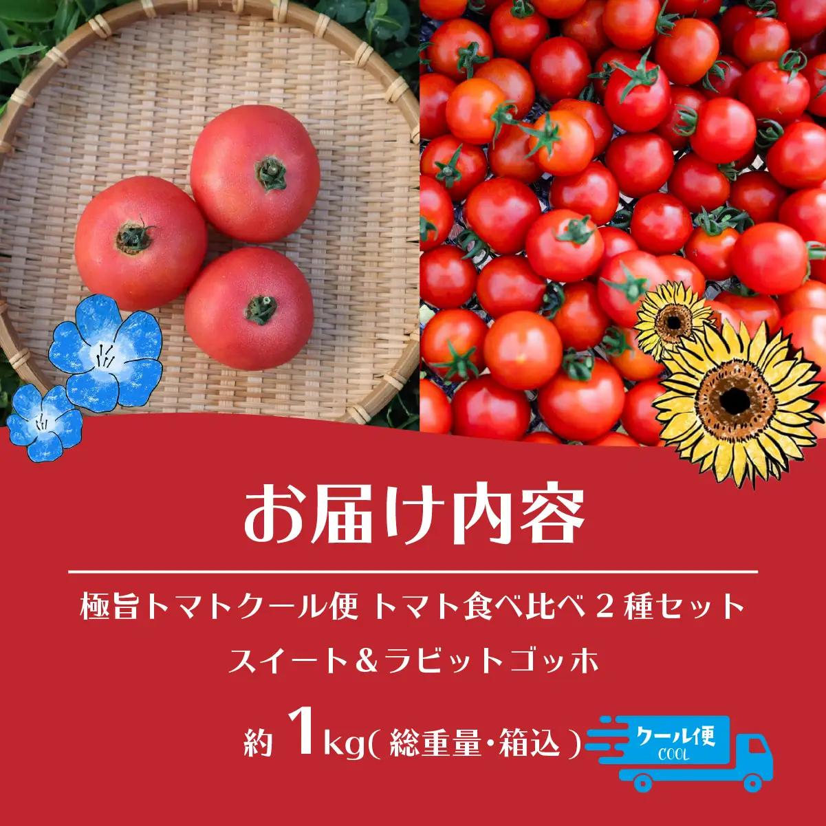 【2026年予約】極旨トマトクール便 食べ比べ2種セット 北海道壮瞥町産 スイート＆ラビットゴッホ 1kg 中玉トマト SBTAJ026