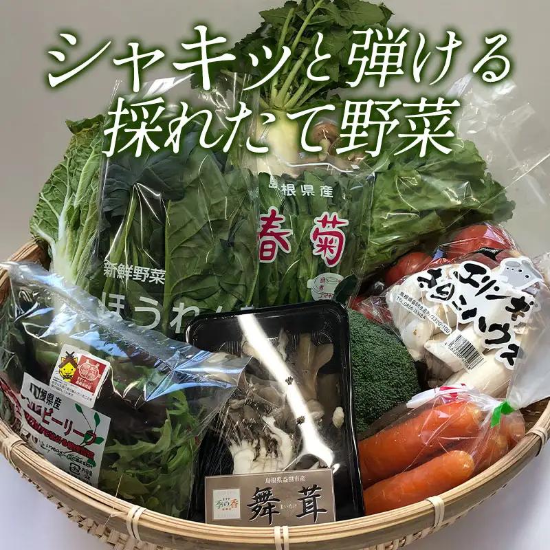 B-860 旬の野菜おまかせセット(引退競走馬の飼育寄付付き)
