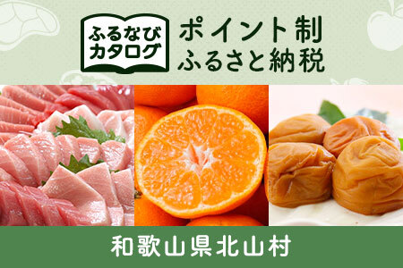 【有効期限なし！後からゆっくり特産品を選べる】和歌山県北山村カタログポイント