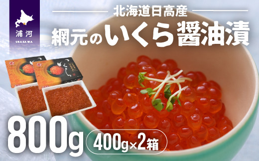 
                  【めしの素(秋鮭)2P付】網元のいくら醤油漬(400gx2箱)[01-578]
                