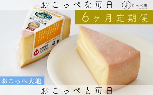 【ふるさと納税】おこっぺ大地2個 6ヶ月定期便【22023】