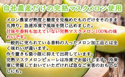 マスクメロン ピューレ 計720ｇ
