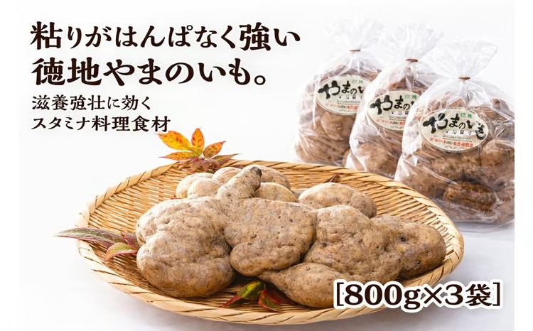 D714 徳地やまのいも800g袋(ご家庭用)×3袋