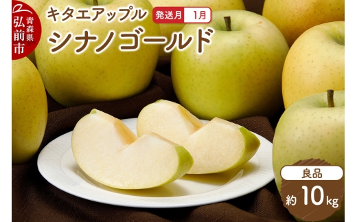 【27年1月発送】りんご シナノゴールド【良品】約10kg キタエアップル 先行受付 青森県 弘前市 果物 フルーツ 林檎 リンゴ くだもの ギフト 贈り物 青森県 弘前市 [先行予約 産地直送 アップル おいしい 果実 美味 甘い 黄色]