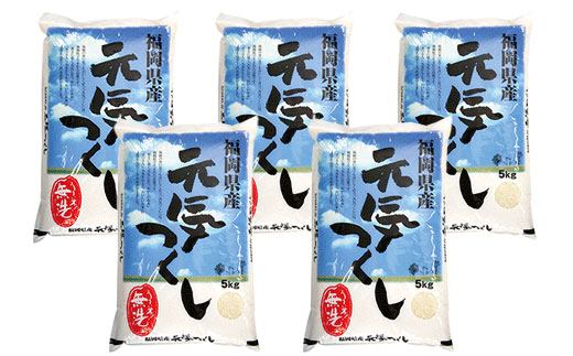 【新米】令和7年産 無洗米 福岡県産・元気つくし25kg  無洗米 むせんまい 米 コメ 25kg キャンプ 研がなくていい  5kg×5 TWR 25キロ 箱入り 手間なし カンタン 簡単 福岡 元