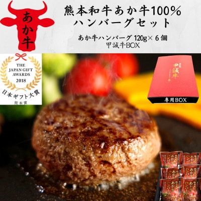 あか牛100%ハンバーグセット(あか牛ハンバーグ120g×6個)専用ボックス入り(水上村)【配送不可地域：離島】【1542745】