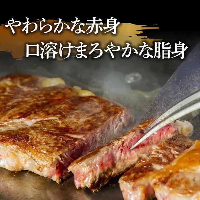 【3回定期便】【やわらかな赤身と口どけまろやかな脂身】長崎和牛 サーロインステーキ 400g 2人前（200g×2枚）/ 牛肉 ステーキ 長崎産 サーロイン / 南島原市 / ふるさと企画 [SBA0