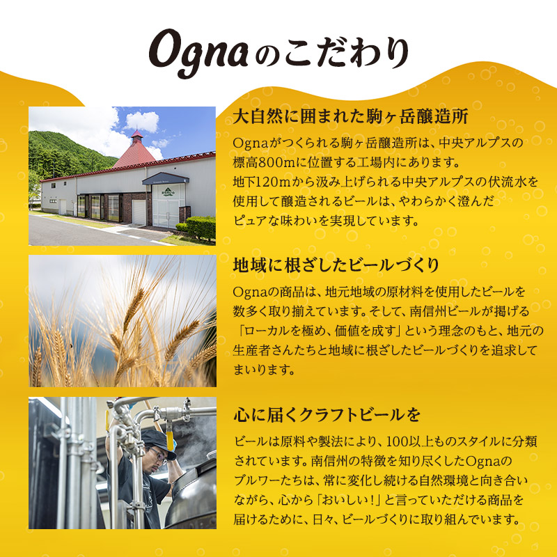 南信州地ビール　フルーツビール6本セット お酒 ビール 飲み比べ セット