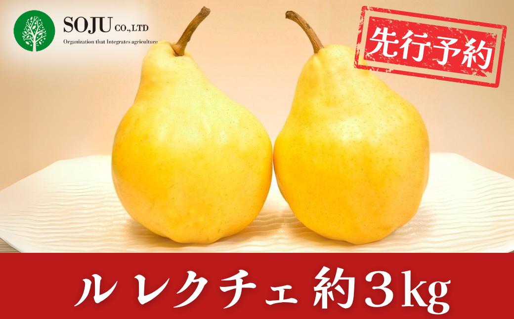 
                  先行予約 ル レクチェ 約3kg 洋梨 JGAP認証農場 新潟県 三条市産  ル レクチエ 期間限定 冬限定  幻の西洋梨 フルーツ 秋 旬 洋梨 ル・レクチェ  [三条果樹専門家集団]【016P026】
                