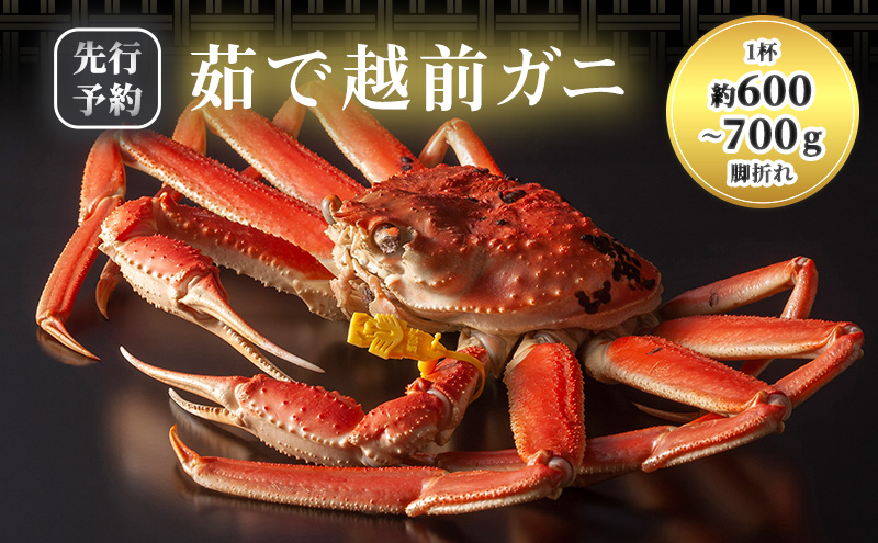 かに 訳あり 期間限定 茹で 越前ガニ 約600g～700g未満1杯 ボイルカニ ボイル 魚介類