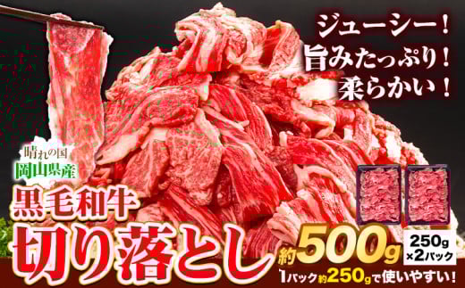牛肉 黒毛和牛 切り落とし 500g 《30日以内に出荷予定(土日祝除く)》 岡山県 矢掛町 牛 牛肉 和牛 牛丼 カレー 小分け 小分けパック 250g 送料無料 一万 一万円 10000円