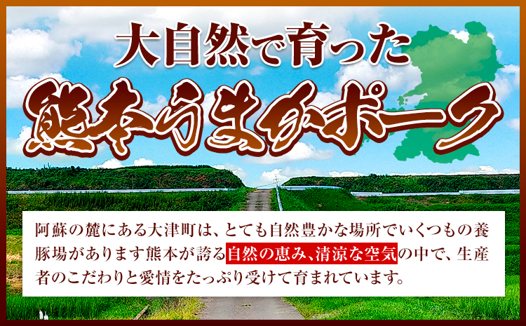 豚肉 小分け しゃぶしゃぶ 豚バラ 豚ロース 熊本 うまか ポーク スライス トレー 3kg《9月上旬-9月末頃出荷》 お楽しみセット 豚しゃぶ 豚バラ肉 うまかポーク 3種 豚バラエティー セット 