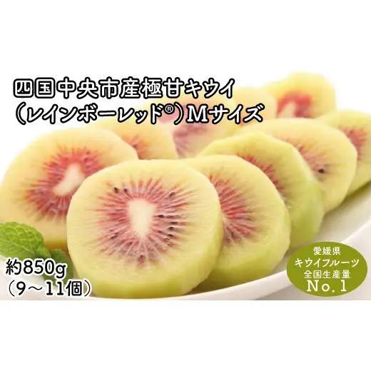 ＜10月下旬以降発送＞【ぽぽ農園】レインボーレッドキウイ（四国中央市産レインボーレッド） M サイズ 約850g（9個～11個）