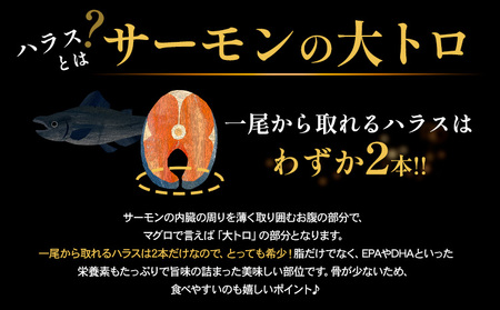 塩サーモンハラス 約2kg 鮭 西川