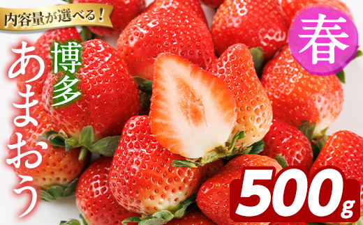 ＜先行予約受付中！2026年2月上旬以降順次発送予定＞博多 あまおう《春》 (計500g・250g～270g×2パック) いちご イチゴ 苺 ストロベリー 果物 フルーツ おやつ デザート 冷蔵 アマオウ 旬 小分け 【農産物直売所ほたるの里】as52-008