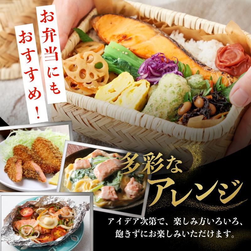  訳あり 銀鮭 切り身 3kg 冷凍 切身 サイズ 不揃い 規格外 鮭 サケ シャケ 塩銀鮭 人気の海鮮返礼品 カマ サーモン 魚 家庭用 おかず 【北海道･沖縄･離島への配送不可】