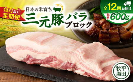 【 全12回 毎月 定期便 】 日本 の 米育ち 平田牧場 三元豚 バラ ブロック 600g T036-T08-03 定期 肉 お肉 にく 豚 豚肉 ブタ ぶた 豚の角煮 角煮 焼豚 厚切りソテー 黒豚 冷凍 バークシャー種 特別品種 便利 パック おかず 夕食 美味しい おいしい ジューシー ふるさと納税 北海道 苫小牧市 おすすめ ランキング プレゼント ギフト