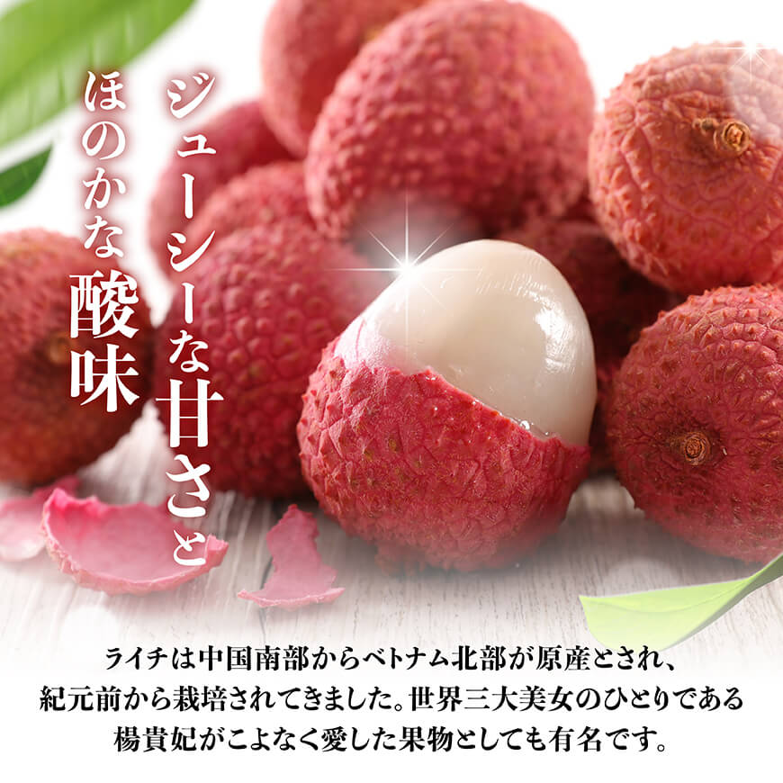 【令和8年産】川南町産ライチ（大粒）10粒(5粒×2パック) 【 国産ライチ フルーツ デザート 宮崎県産 】 [C03203]