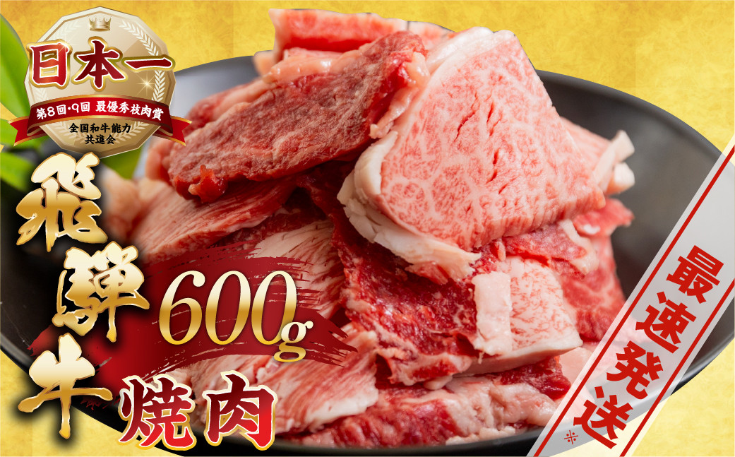 
            【発送月が選べる】【訳あり】飛騨牛 焼肉 切り落とし 600g | 牛肉 肉 切落し わけあり ワケアリ 不揃い 冷凍 本巣市 トキノ屋 食品 訳有 焼肉セット 焼肉用  [mt505] 15000円 1月 2月 3月 4月 5月
          