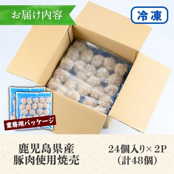 訳あり 焼売 48個 鹿児島県産 豚肉 焼売【00-008-15】