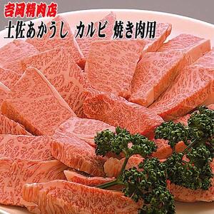 土佐あかうし カルビ (焼肉用) 約500g 幻の和牛 【グレイジア株式会社】 [ATAC031]