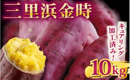 【先行予約】 三里浜金時 10kg (5kg×2箱) キュアリング加工済み 【2026年11月上旬以降順次発送】 さつまいも さつま芋 芋 イモ  金時 甘い 熟成 おいしい 国産 産地直送 贈答 贈り物 [A-1155]