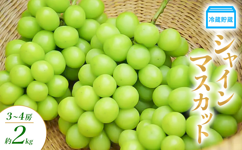 冷蔵貯蔵 シャインマスカット 3～4房 約2kg ぶどう ブドウ 葡萄 マスカット 果物 フルーツ 長野県 長野 山ノ内町