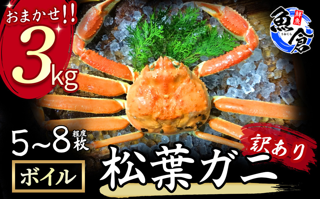 
            今だけ限定価格！【11月より値上げ】【魚倉】松葉がに ボイル おまかせセット3kg 訳あり 松葉ガニ カニ ズワイガニ カニ爪 ボイル 冷蔵 わけあり ずわいがに 期間限定 国産 限定価格 限定寄付額 値上対象 鳥取県 倉吉市
          