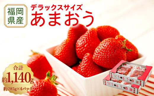【アフター保証】うるう農園 あまおう DX等級 4パック （約1140g）【2026年12月上旬～2027年1月下旬発送予定】 いちご イチゴ 苺 フルーツ 果物