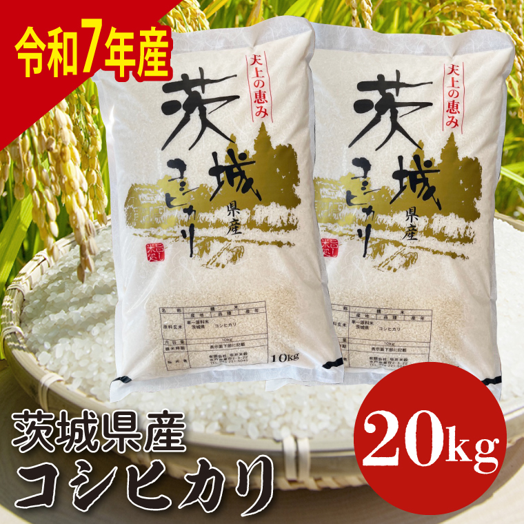 【数量限定】【令和7年産】茨城県産コシヒカリ 20kg (HQ-203)