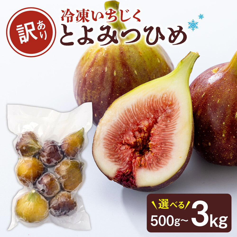 【ふるさと納税】訳あり冷凍いちじく（とよみつひめ）500g 1kg 2kg 3kg【JAほたるの里】宗像市 お手軽 保存がきく 美味しい ヘルシー スムージー ヨーグルト