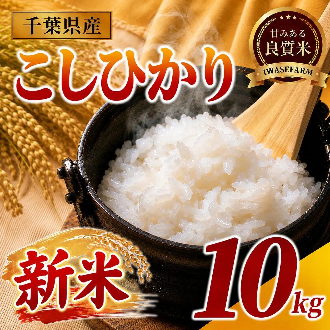 新米【9月以降発送】コシヒカリ10kg｜新米