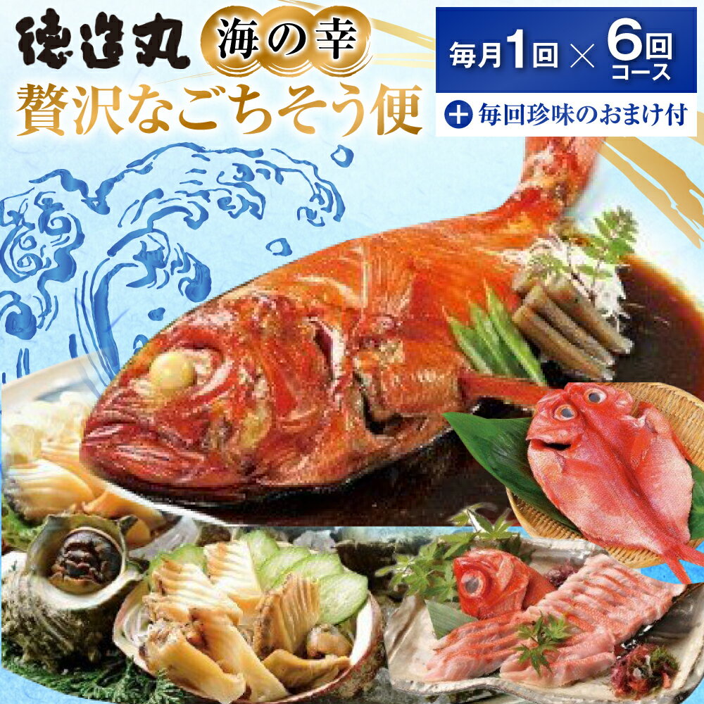 【ふるさと納税】（冷凍） 贅沢なごちそう定期便 毎月1回×6回コース＋毎回人気の珍味付き G010 ／ 徳造丸 金目鯛 海の幸 海鮮 静岡県 東伊豆町