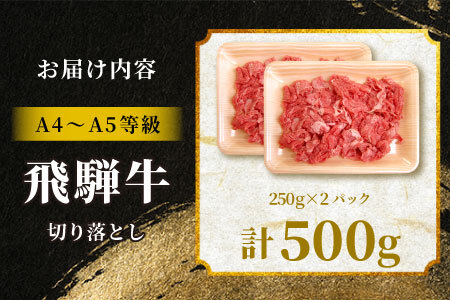 飛騨牛 切り落とし 500g（250g×2P） A5 A4 国産 牛 黒毛和牛 和牛 牛肉 薄切り 訳あり 牛丼 すき焼き しゃぶしゃぶ 肉のひぐち