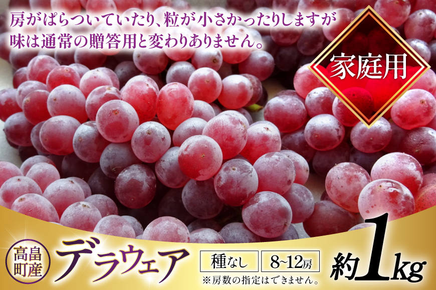 【期間限定発送】 家庭用 訳あり デラウェア 8〜12房 約1kg [いわた果樹園 山形県 高畠町 tk06ayt400006] ぶどう 種無し ブドウ 葡萄 くだもの 果物 フルーツ 産地直送 農家