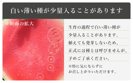 【先行予約】シャリシャリ甘いっ！ 甘い東尋坊黒皮種無しスイカ 6～10kg × 1玉 【2024年7月上旬以降順次発送予定】【スイカ 西瓜 フルーツ 果物 国産 お中元 内祝い お祝い】 [A-102