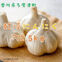 【ふるさと納税】多度津町産　乾燥にんにく 約2.5kg（予約受付中： 令和7年6月中旬より発送！）〔提供：株式会社ことひら街道〕しあわせ製麺 香川県 生産量全国2位 肉厚