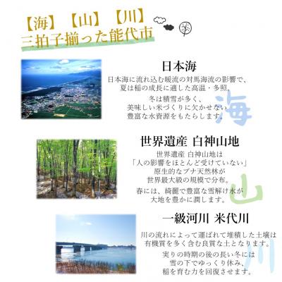 ふるさと納税 能代市 食べ比べ 精米セット ひとめぼれ&あきたこまち 各5kg 計10kg[No.5335-0008] |  | 02