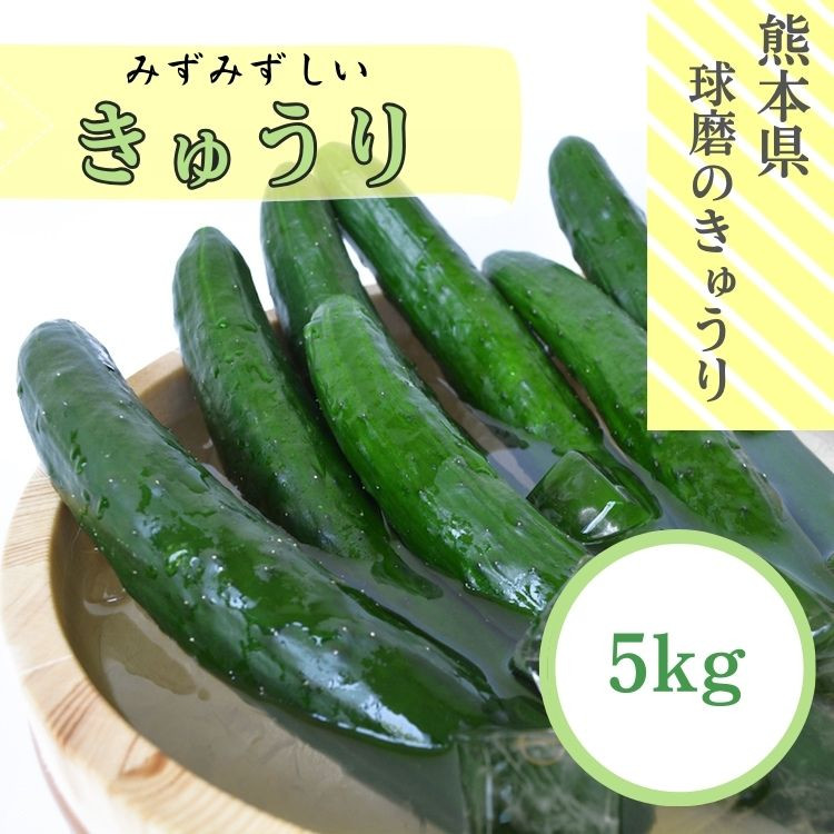 
                  【発送時期：2026年5月中旬～10月下旬】熊本県ＪＡくま産　球磨のきゅうり　5㎏
                