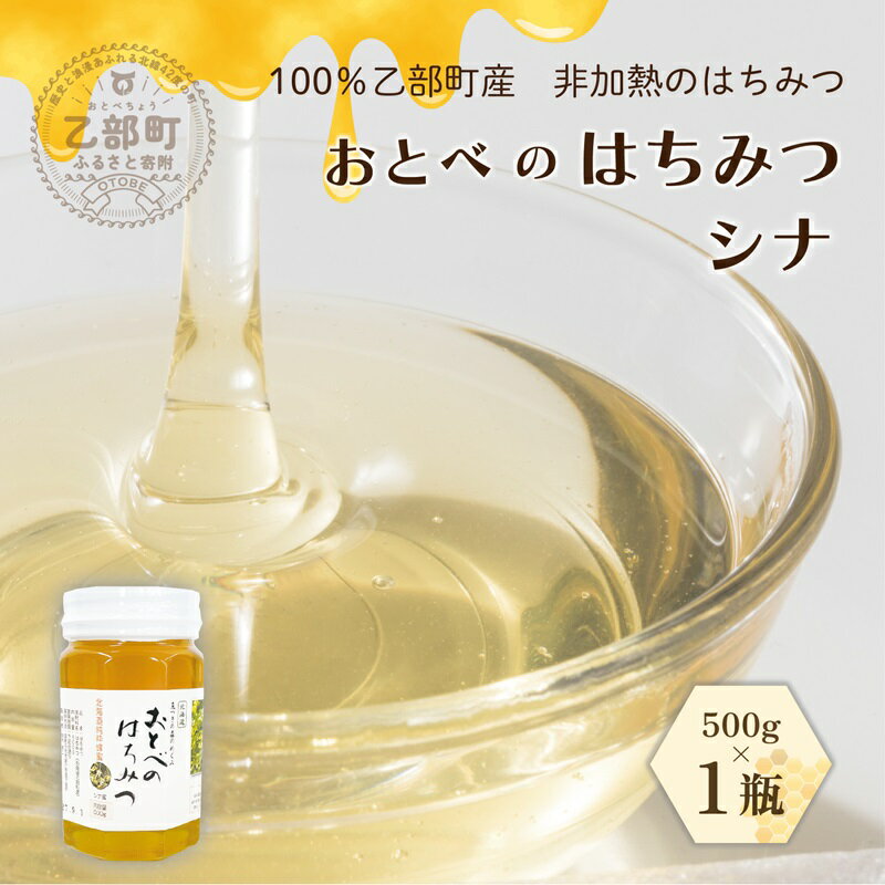 【ふるさと納税】 ＜おとべのはちみつ　シナ500g×1本＞北海道乙部町産　魚つきの森からの恵み おとべのはちみつ シナシナ蜜 国産 北海道産 蜂蜜 天然 非加熱 国産蜂蜜 100％ はちみつ 常備食 美容 美肌 ビタミン ミネラル 豊富 健康