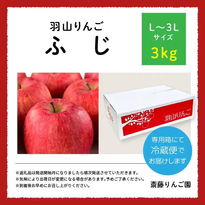 りんご《2026年11月下旬以降順次》羽山のりんご ふじL～3Lサイズ3kg りんご リンゴ 果物 フルーツ【斎藤りんご園】