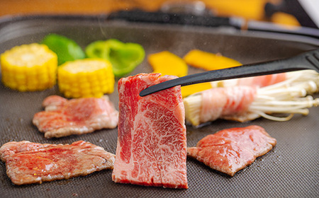 宮崎牛焼肉（うで肉）約750g　特番569