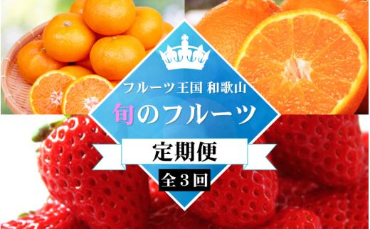 【3回定期便】【12・1～2・3月】フルーツ大国和歌山よりお届け！旬のフルーツ定期便A【田村みかん・まりひめ・紀州デコ】 / フルーツ 果物 みかん いちご  旬 定期便  【tkb350】