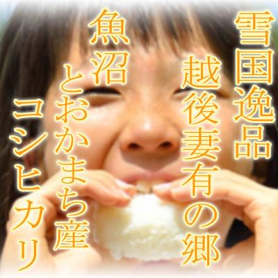 ふるさと納税 十日町市 【令和7年産　先行受付】【雪国逸品10Kg】 越後妻有の郷 魚沼十日町産コシヒカリ(精米) |  | 01