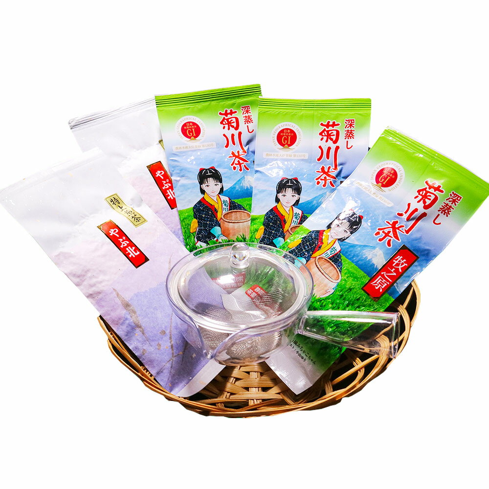 【ふるさと納税】やぶきた深蒸し茶 と 急須セット 1本あたり100g 2種 計5本 計500g やぶ北 やぶ北煎茶 深蒸し茶 深蒸し 煎茶牧之原 煎茶 お茶 日本茶 緑茶 茶 急須 急須付き 割れない カゴ網 普通サイズ 容量200ml セット 詰め合わせ 静岡県産 静岡県 菊川市 送料無料