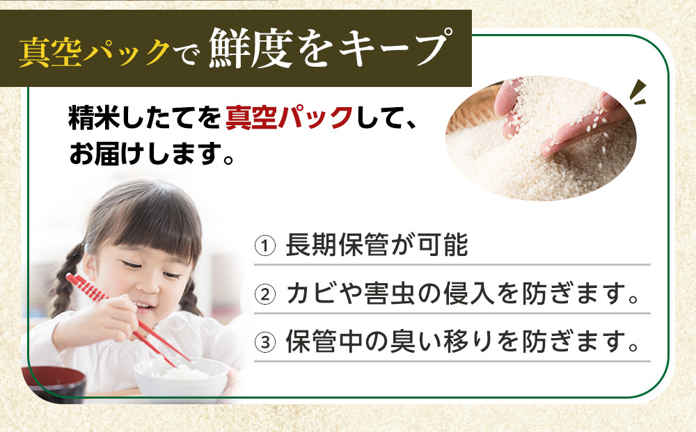 令和7年産　おぼろづき 無洗米 真空パック 5kg×1袋 5kg【 白米 精米 ご飯 ごはん 米 5kg お米 旭川市 北海道 】_06547