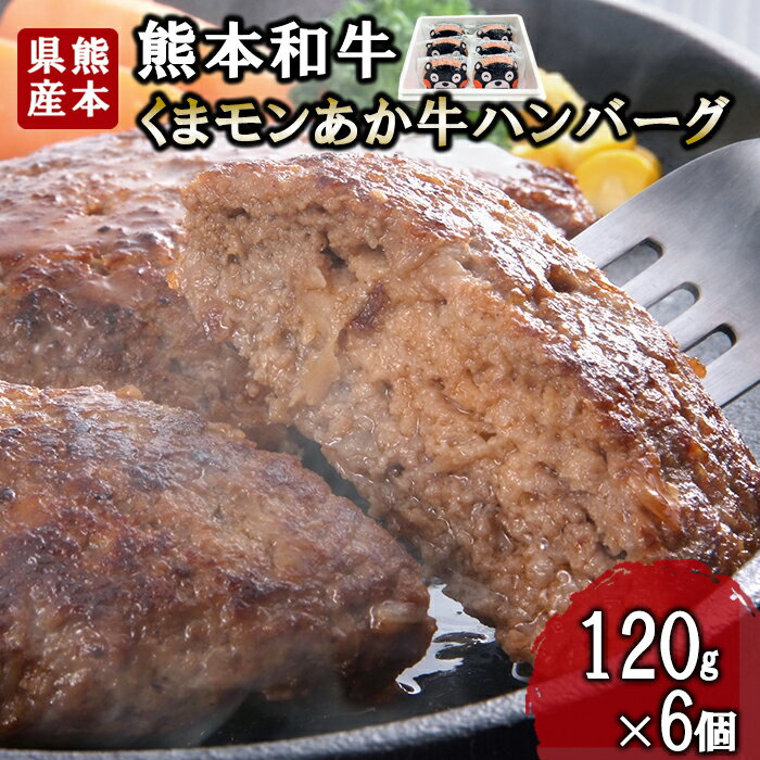 【ふるさと納税】熊本和牛 あか牛 熊本県産 肥育 加工品 阿蘇 熊本 褐毛和種 褐牛 和牛 くまモン ご当地 あか牛100% 牛肉 ハンバーグ 120g 6個 計720g 惣菜 おかず ご飯のお供 熊本名物 ご家庭用 ギフト 贈答用 三協畜産 小国町 送料無料【地場産品：類型8ハ】