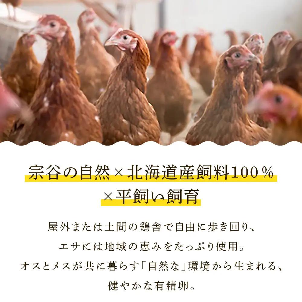 平飼い卵のエッグタルト６個セット