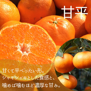 【2026年12月上旬頃から順次発送】【定期便 全3回】旬の愛媛三大高級柑橘 家庭用 【愛果28号 せとか 甘平】約2.5kg | 柑橘 みかん 果物 あいか 紅まどんな と同品種 くだもの フルーツ